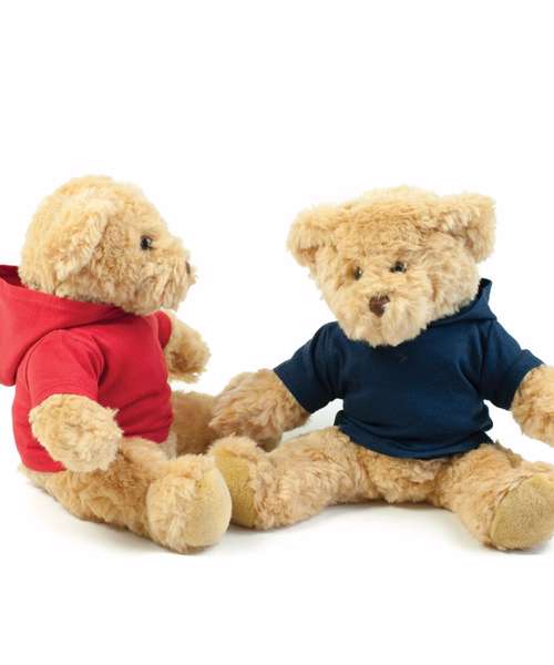 Teddy hoodie